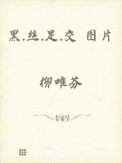 黑.丝.足.交 图片